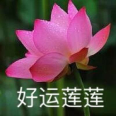 湘台青年湖南炎陵共话文化传承